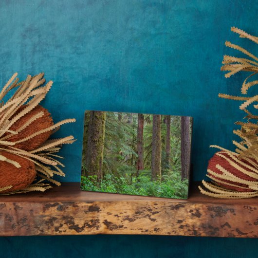 Willamette National Forest | Oregon Fotoplatte (Seite)