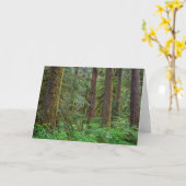 Willamette National Forest | Oregon Karte (Gelbe Blume)