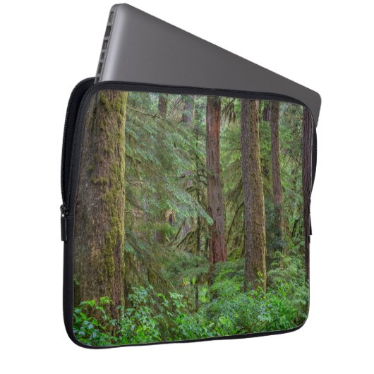 Willamette National Forest | Oregon Laptopschutzhülle (Vorne Rechts)
