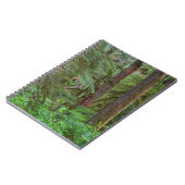 Willamette National Forest | Oregon Notizblock (Linke Seite)