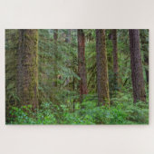 Willamette National Forest | Oregon Puzzle (Horizontal)