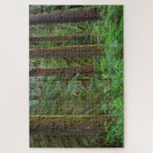 Willamette National Forest | Oregon Puzzle (Vertikal)