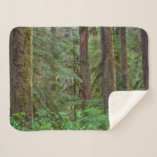 Willamette National Forest | Oregon Sherpadecke (Vorderseite (Horizontal))