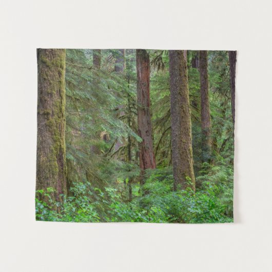 Willamette National Forest | Oregon Wandteppich (Vorderseite (Horizontal))