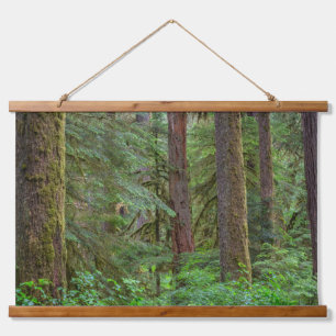 Willamette National Forest Oregon Wandteppich Mit Holzrahmen