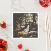 Willamette National Forest Serviette (Beispiel)