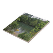 Willamette River, Elijah Bristow Staat Park, OR Fliese (Seite)