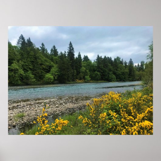 Willamette River, Elijah Bristow Staat Park, OR Poster (Vorne)