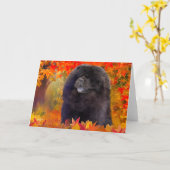 WILLEM ART CARDS KARTE (Gelbe Blume)