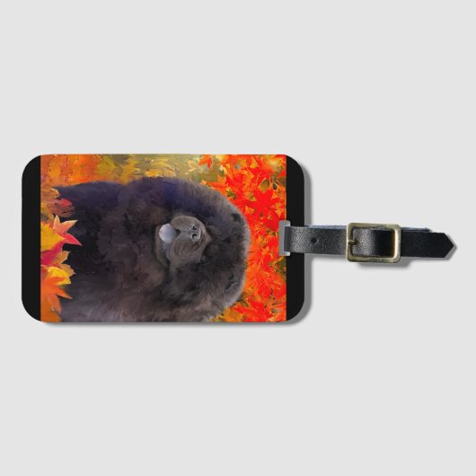 WILLEM Gepäckanhänger (Vorderseite (Horizontal))