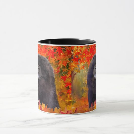 WILLEM-TASSE TASSE (Zentrum)