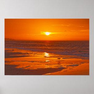 Willet am Strand bei Morgengrauen, Florida Poster