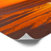 Willet am Strand in Dawn, Florida Poster (Ecke)