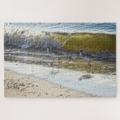 Willet Duo auf Dauphin Island, Alabama Puzzle (Horizontal)