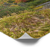 Willey Pond im Herbst. New Hmapshire Poster (Ecke)