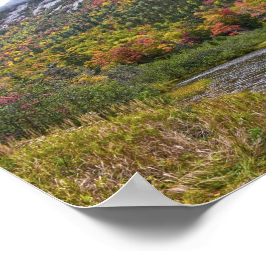 Willey Pond im Herbst. New Hmapshire Poster (Ecke)
