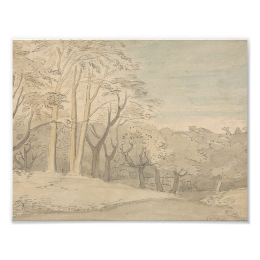 William Blake - Eine waldreiche Landschaft Fotodruck (Vorne)