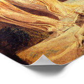 William Blake Jacob's Ladder Poster (Ecke)