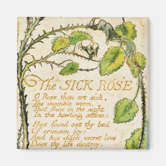William Blake The Sick Rose, from Songs of Innoc Magnet (Vorne)