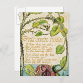 William Blake The Sick Rose, from Songs of Innoc Postkarte (Vorne/Hinten)