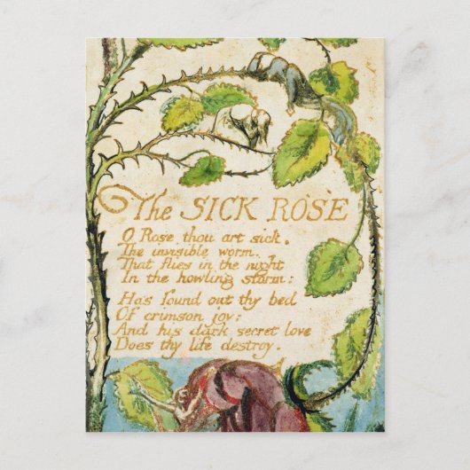 William Blake The Sick Rose, from Songs of Innoc Postkarte (Vorderseite)