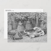 William H. Beard - Bear Stung by Bees Postcard Postkarte (Vorne/Hinten)