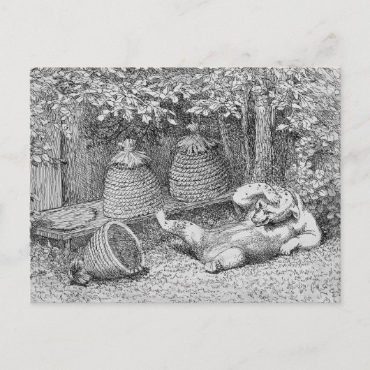 William H. Beard - Bear Stung by Bees Postcard Postkarte (Vorderseite)