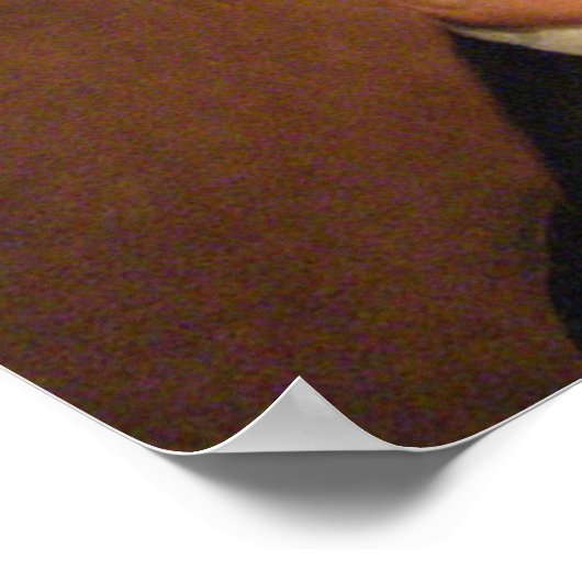 William Henry Harrison Poster (Ecke)