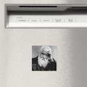 William Huggins, 1910 Magnet (In Situ (Geschirrspüler))