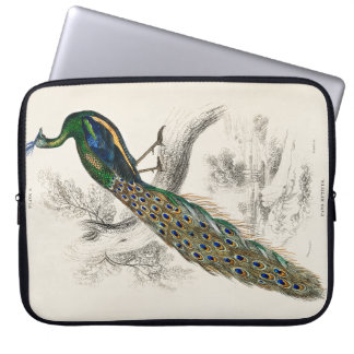 William Jardine - Ein majestätiges männliches Pfau Laptopschutzhülle