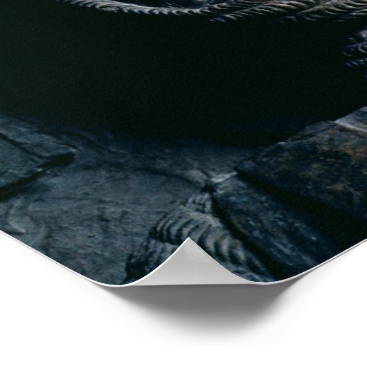 William Marshal Earl of Pembroke Poster (Ecke)