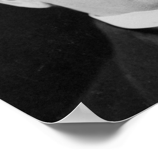 William Mckinley Poster (Ecke)