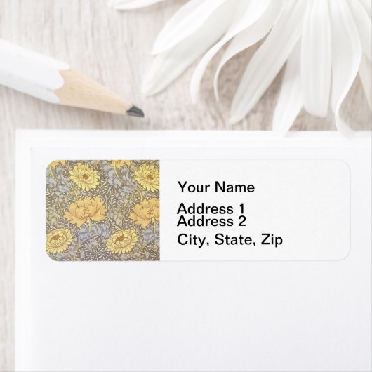 William Morris Chrysanthemum Mum Blume (Insitu)