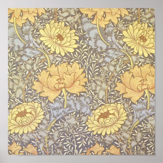 William Morris Chrysanthemum Mum Blume Poster (Vorne)