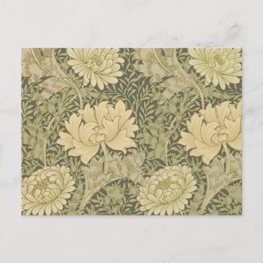 William Morris Chrysanthemum Sage Blume Postkarte (Vorderseite)