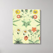 William Morris Daisy Floral Wallpaper Pattern Leinwanddruck (Vorderseite)