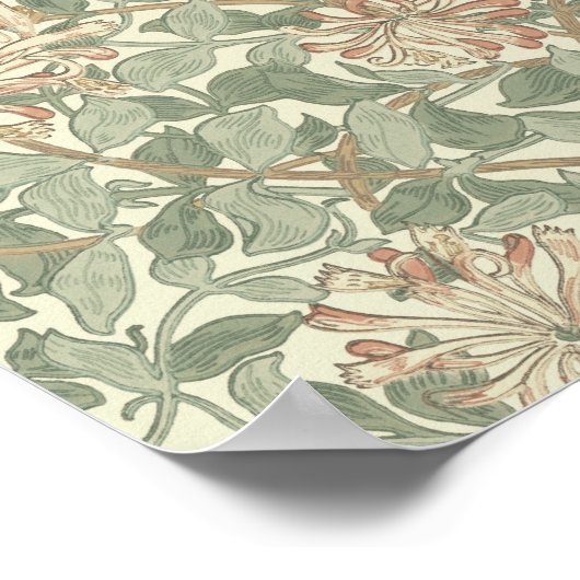 William Morris Honeysuckle Blume Wallpaper Poster (Ecke)