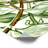 William Morris - Honeysuckle in Green und Gold Poster (Ecke)