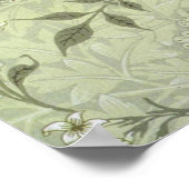 William Morris Jasmine Botanical Poster (Ecke)