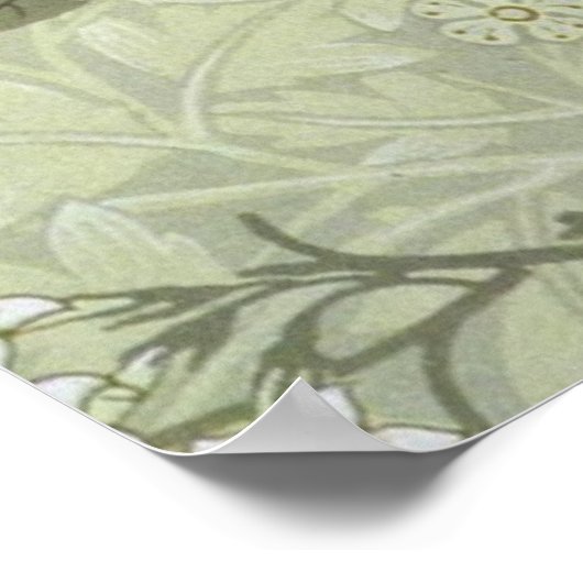 William Morris Jasmine Botanical Poster (Ecke)