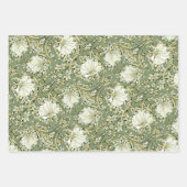 William Morris Pimpernel White Sage Green Geschenkpapier Set (Vorderseite 2)