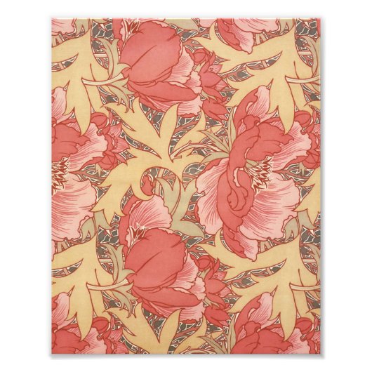 William Morris Poppies Floral Fotodruck (Vorne)