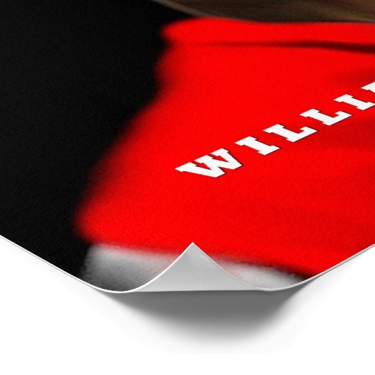 William the Conqueror poster (Ecke)