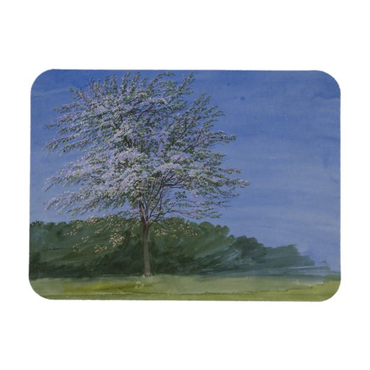 William Turner von Oxford - Study of a Tree in Blo Magnet (Horizontal)