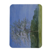 William Turner von Oxford - Study of a Tree in Blo Magnet (Vertikal)
