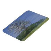 William Turner von Oxford - Study of a Tree in Blo Magnet (Linke Seite)