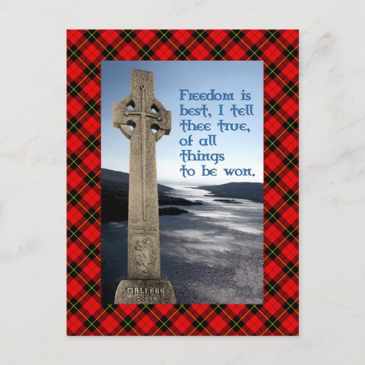 William Wallace Freedom Monument Postcard Postkarte (Vorderseite)