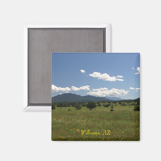 Williams AZ Magnet (Vorderseite/Rückseite)