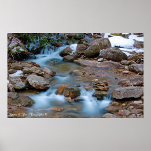 Williams River Tea Creek Area Poster