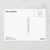 Williamsburg (Virginia) Collage 1 Postkarte (Rückseite)